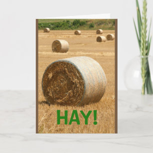 HAY! Bedankt A Lot Kaart