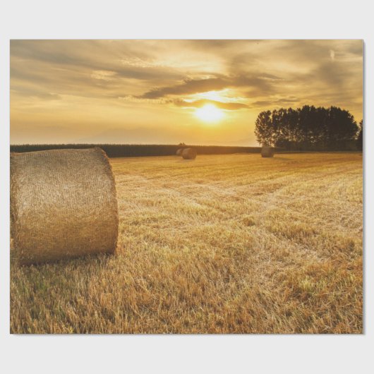 Hay Cadeaupapier (Vlak)