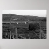 Hay Days afdrukken Poster (Voorkant)