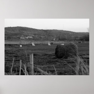 Hay Days afdrukken Poster