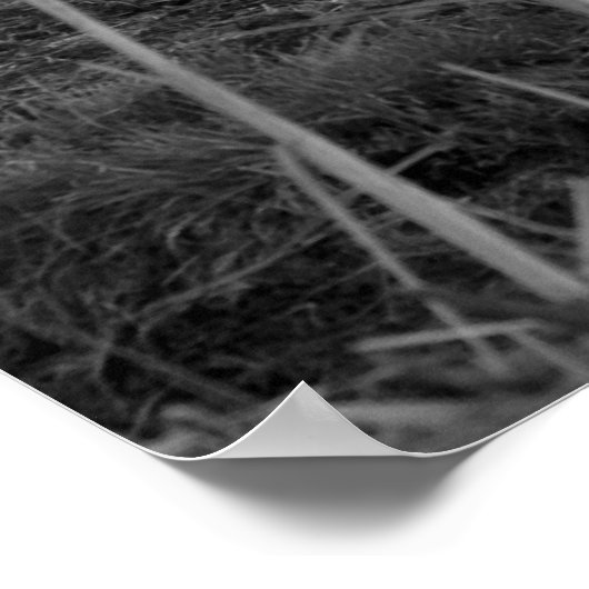 Hay Days afdrukken Poster (Hoek)