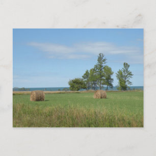 Hay Field briefkaart