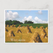 Hay Field Briefkaart (Voorkant)