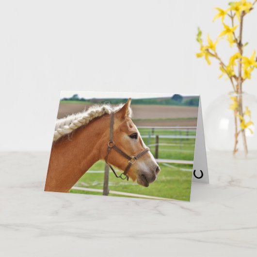 Hay Girl Happy Birthday Horse Kaart (Gele Bloem)