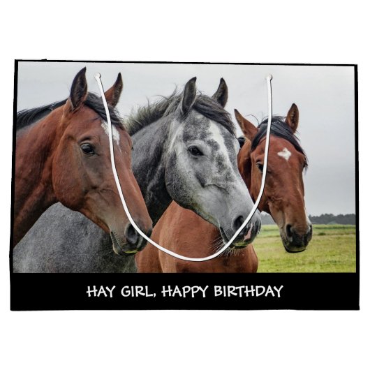 Hay Girl Happy Birthday Horse Large Gift Bag Groot Cadeauzakje (Achterkant)