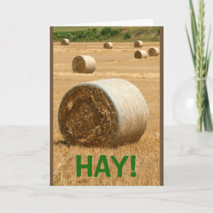 HAY!  Happy Birthday Kaart