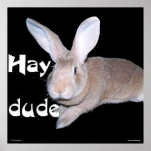 Hay Man Poster