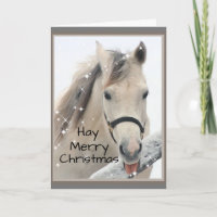 Hay Merry Christmas Horse Boerderij Animal Humor