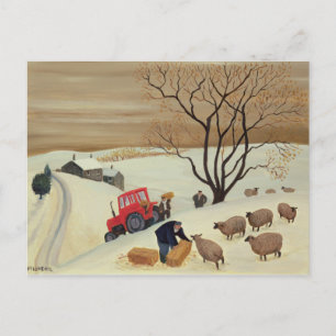 Hay naar de schapen brengen door tractor briefkaart