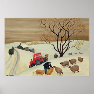Hay naar de schapen brengen door tractor poster