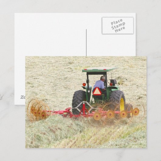 Hay op een zomerdag briefkaart (Voorkant / Achterkant)