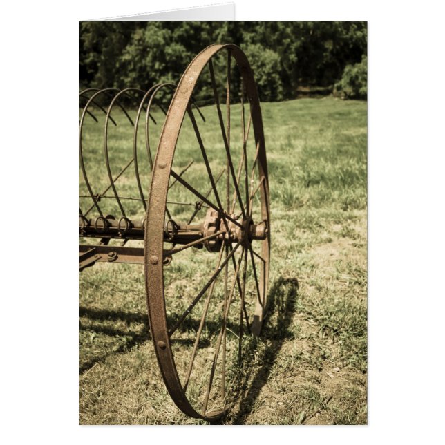 Hay Rake Wheel Aged (Voorkant)