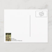 Hay Rake Wheel Aged Thinking of You Briefkaart (Achterkant)