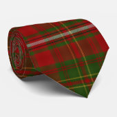 Hay Scottish Clan Tartan Pset Pattern Stropdas (Opgerold)