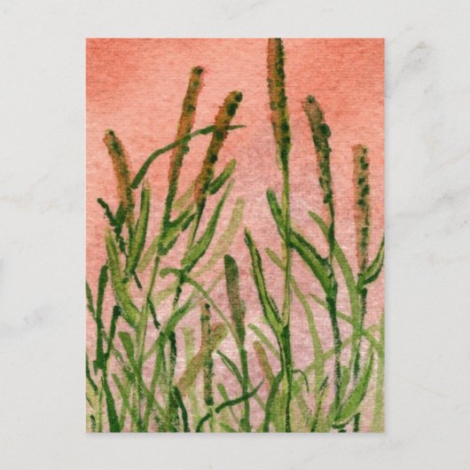 "Hay Someday" Briefkaart voor landwegen (Voorkant)