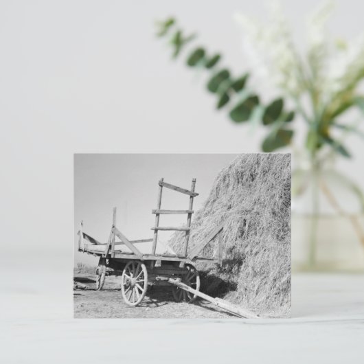 Hay stack en wagon - 1939. briefkaart (Staand voorkant)