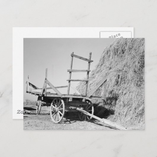 Hay stack en wagon - 1939. briefkaart (Voorkant / Achterkant)