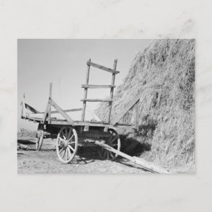 Hay stack en wagon - 1939. briefkaart