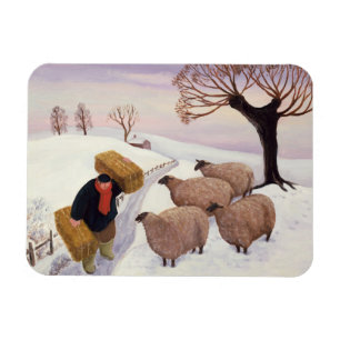 Hay vervoeren naar de schapen in de winter magneet