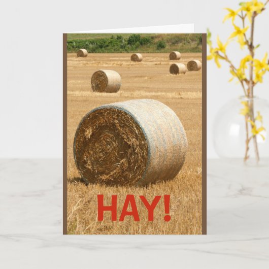 HAY! Zou je mijn Valentijn zijn? Kaart (Gele Bloem)