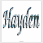 Hayden Name Logo Sticker (Vel)