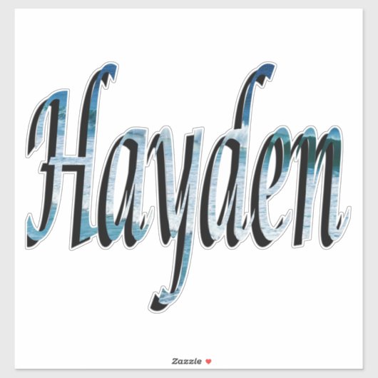 Hayden Name Logo Sticker (Vel)