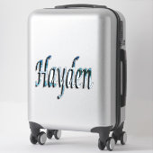 Hayden Name Logo Sticker (Koffer)