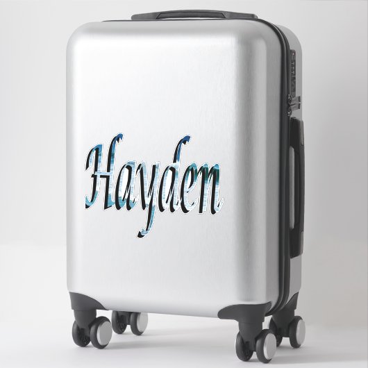 Hayden Name Logo Sticker (Koffer)