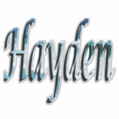 Hayden Name Logo Sticker (Voorkant)