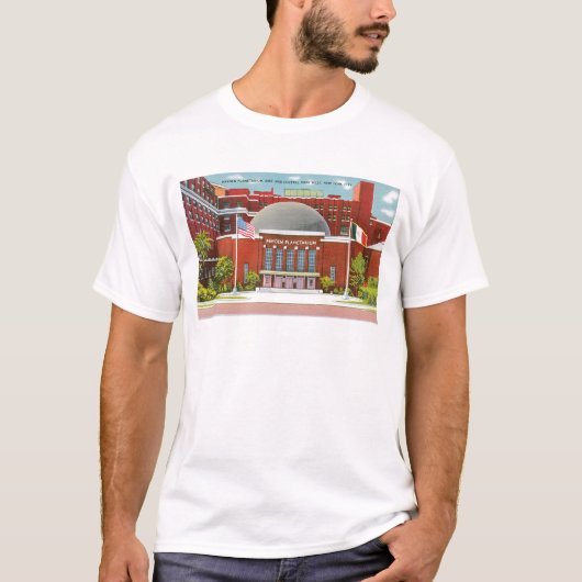 Hayden Planetarium, New York City T-shirt (Voorkant)