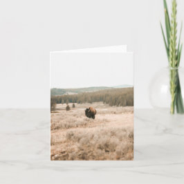 Hayden Valley -- 4" x 5.6" Notecard Kaart