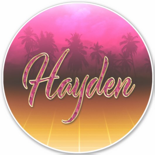 Hayden Vorname Name golden pink Aufkleber Sticker (Voorkant)
