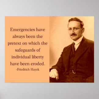 Hayek over noodsituaties poster