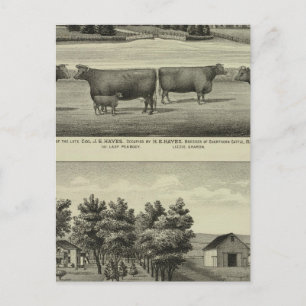 Hayes, Olathe en Ellis Residence and Boerderij Briefkaart
