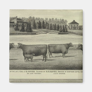 Hayes, Olathe en Ellis Residence and Boerderij Magneet