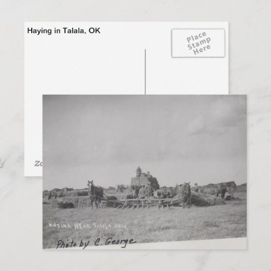 Haying in Talala, OK Briefkaart (Voorkant / Achterkant)