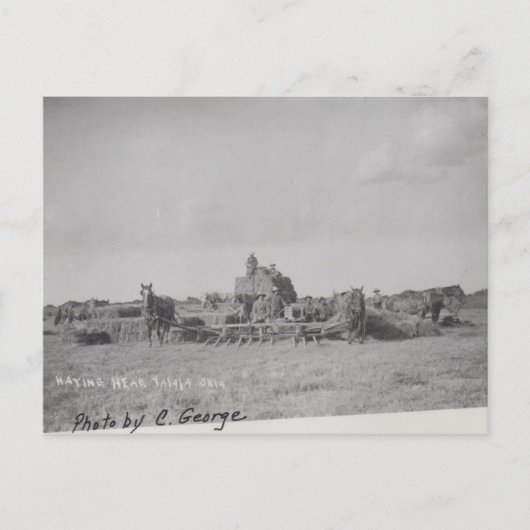 Haying in Talala, OK Briefkaart (Voorkant)