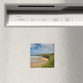 Hayle Bay Magneet (Insitu (Vaatwasser))