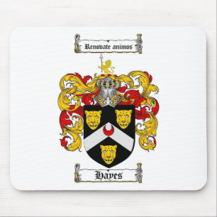 HAYS FAMILIE CREST - HAYCOAT VAN WAPENS MUISMAT