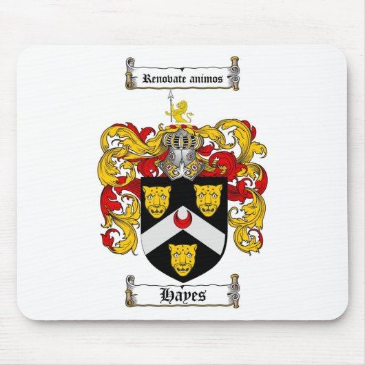 HAYS FAMILIE CREST - HAYCOAT VAN WAPENS MUISMAT (Voorkant)