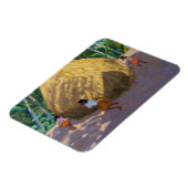 Haystack Kerala Magneet (Linkerzijde)