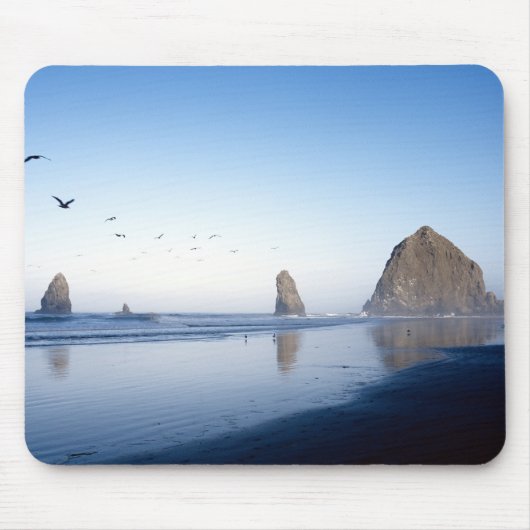 Haystack Rock Mousepad Muismat (Voorkant)