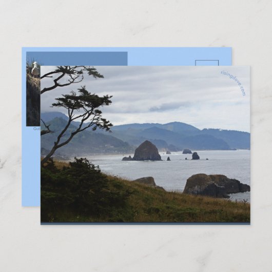 Haystack Rock, Oregon Briefkaart (Voorkant / Achterkant)