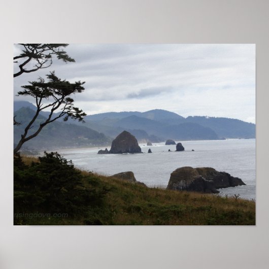 "Haystack Rock van Ecola State Park, Oregon #1" Poster (Voorkant)