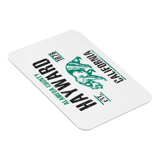 Hayward Magneet (Rechterzijde)