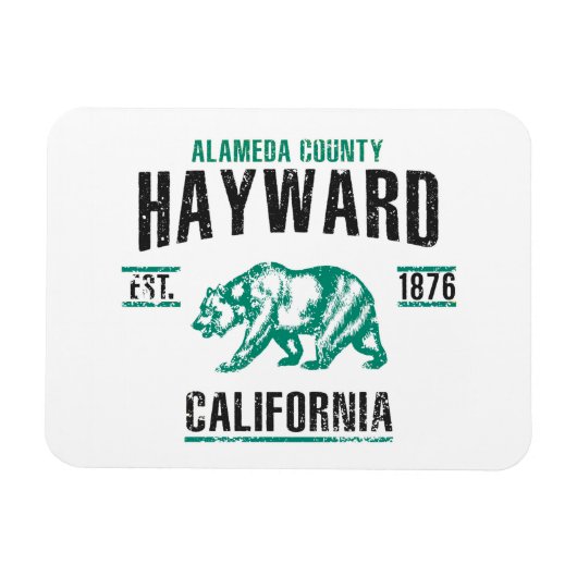 Hayward Magneet (Horizontaal)