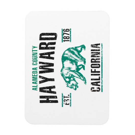 Hayward Magneet (Verticaal)