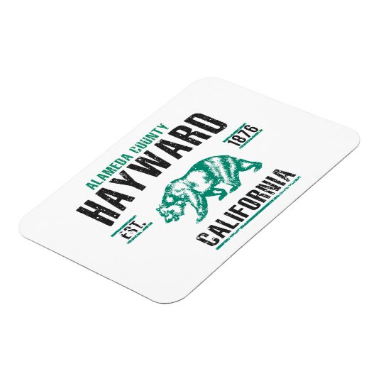 Hayward Magneet (Linkerzijde)