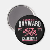 Hayward Magneet (Voorkant / Achterkant)