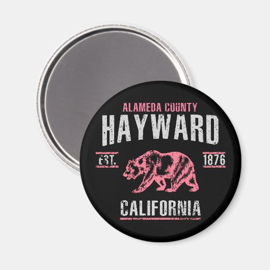 Hayward Magneet (Voorkant / Achterkant)